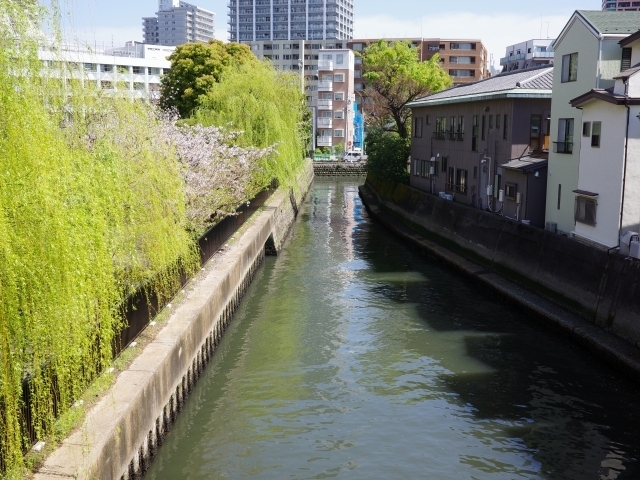 ktsukudajima03.jpg