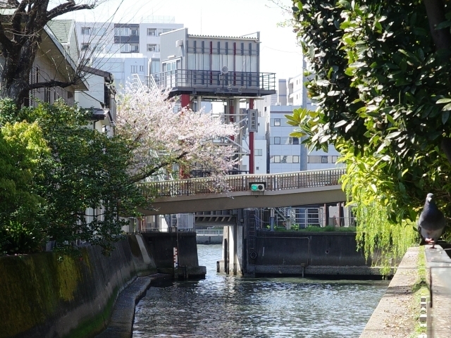ktsukudajima06.jpg