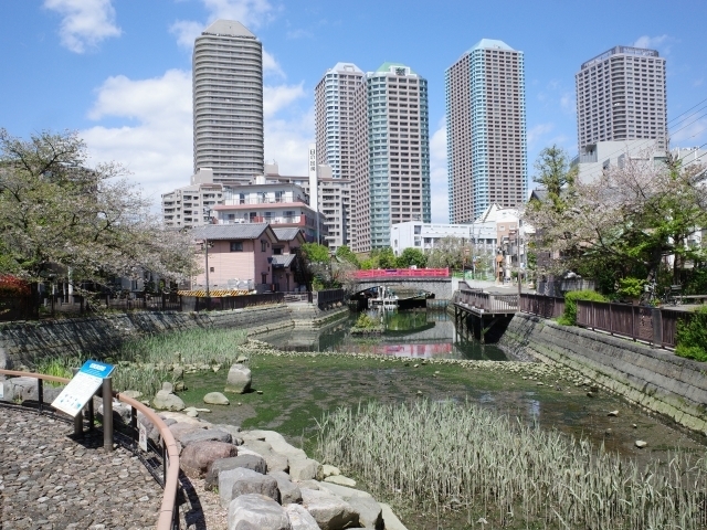 ktsukudajima16.jpg